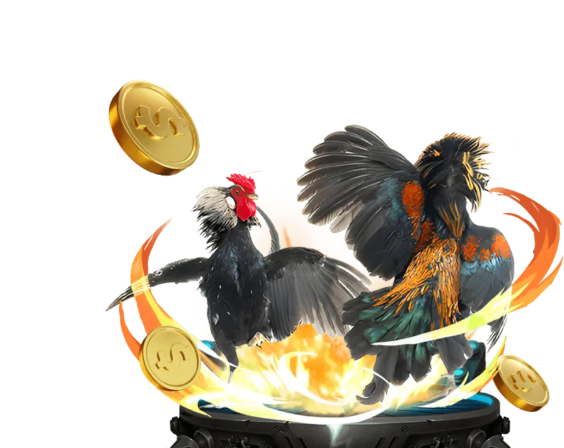 Hoàn trả cá cược thể thao Ku Casino