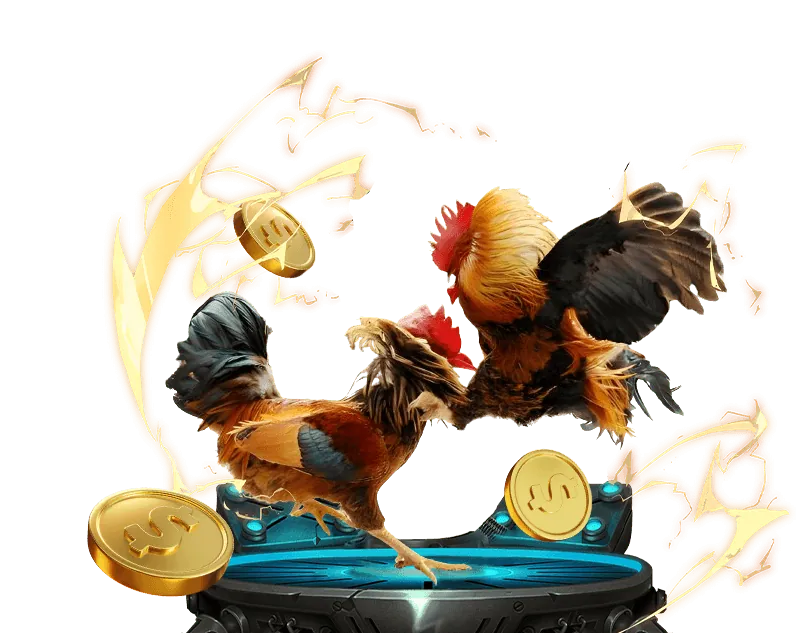 Chuyên gia chia sẻ mẹo chơi đá gà hiệu quả